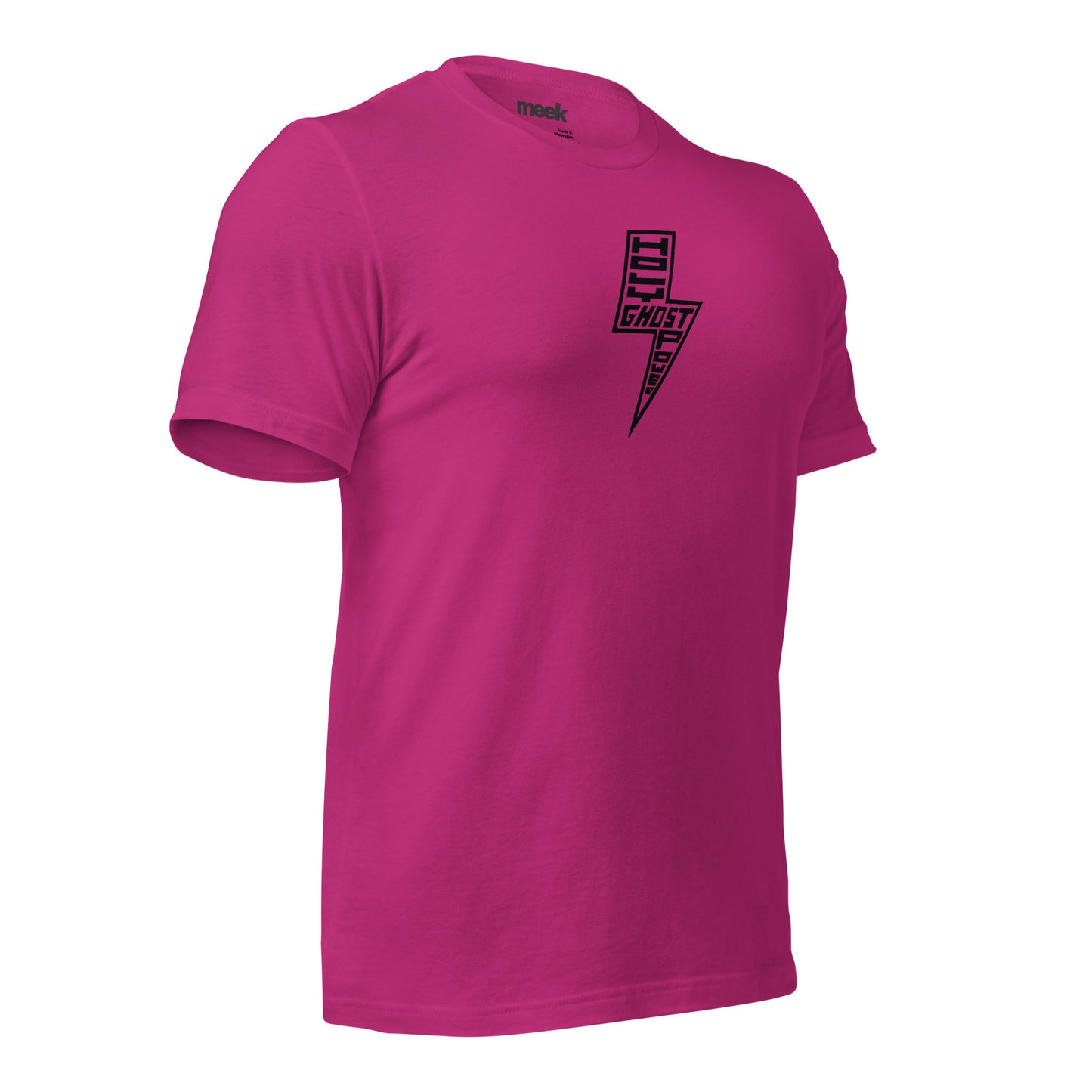 Holy Ghost Power Adult Unisex T-shirt